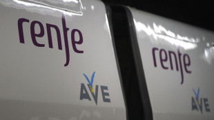 Descontrolados: j&oacute;venes de despedida de soltero en un tren deber&aacute;n indemnizar al resto de pasajeros
