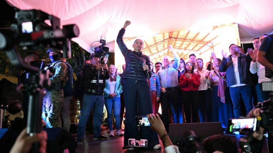 Observadores da OEA e UE rejeitam den&uacute;ncia de fraude eleitoral no Equador