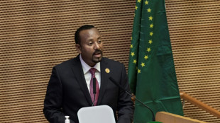 Ethiopie: gouvernement et rebelles du Tigr&eacute; acceptent une invitation de l'UA &agrave; discuter