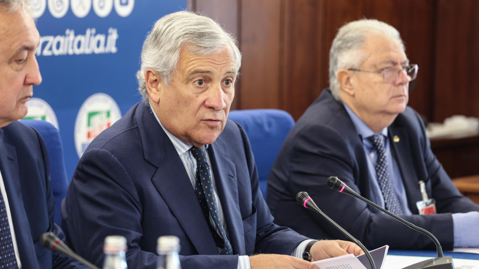 Tajani, 'l'Italia impegnata su aumento spese difesa'