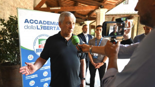 Tajani, nessun aereo partito da Italia, nessuna richiesta