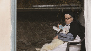 Venezia Cinema, una 'sala web' per corti e Biennale College