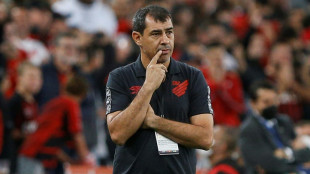 Vasco da Gama contrata a F&aacute;bio Carille como nuevo t&eacute;cnico