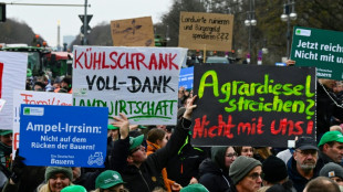 Mehr als 1000 Bauern protestieren in Berlin gegen Sparpl&auml;ne der Ampel