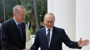 Acuerdo de Putin y Erdogan para mejorar cooperaci&oacute;n econ&oacute;mica y energ&eacute;tica