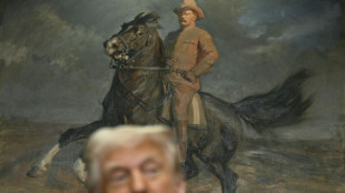 Trump diminui a import&acirc;ncia de vazamento de planos militares dos EUA