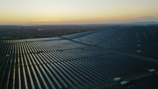 Renouvelables: le monde peut tripler ses capacit&eacute;s d'ici &agrave; 2030 &agrave; condition de soutenir les pays du Sud (AIE)