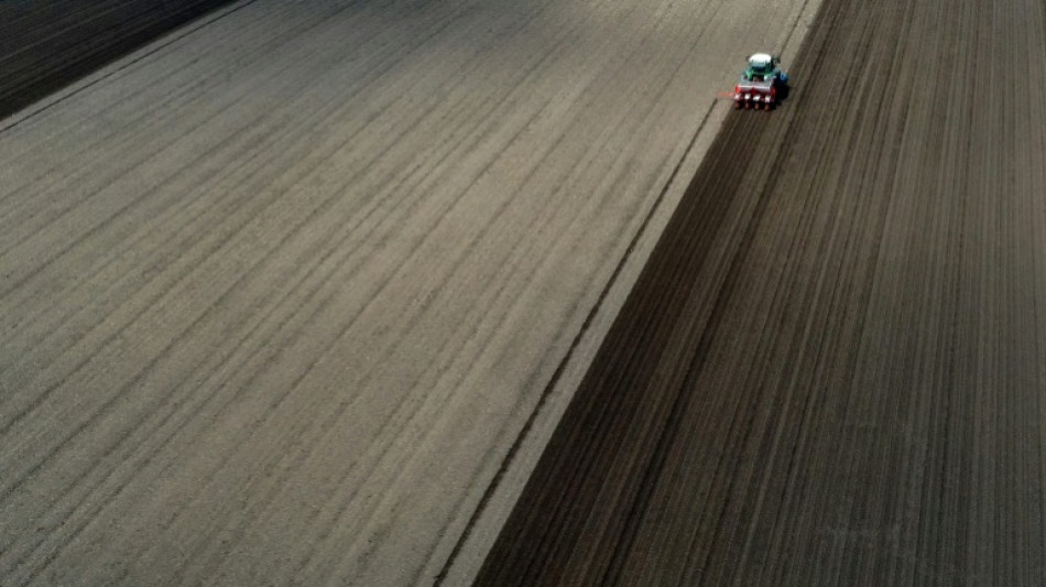 &Ouml;zdemir zu Streichung von Agrardiesel-Subvention: "Schmerzgrenze &uuml;berschritten"