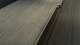 &Ouml;zdemir zu Streichung von Agrardiesel-Subvention: "Schmerzgrenze &uuml;berschritten"