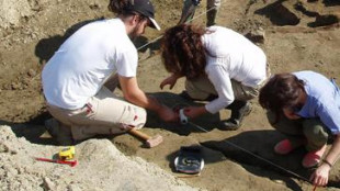 Trovati in Spagna i possibili resti degli elefanti di Annibale