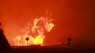 Br&auml;nde zerst&ouml;ren tausende Hektar Land im Westen der USA