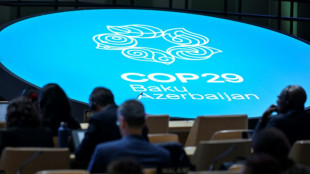 Climat: les pays pauvres se r&eacute;signent &agrave; un accord financier d&eacute;cevant