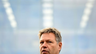 Habeck: Werden Vorschl&auml;ge der Gas-Kommission nicht eins zu eins umsetzen k&ouml;nnen