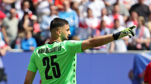 Euro 24:Mamardashvili avvisa la Spagna, 'Georgia dar&agrave; battaglia'