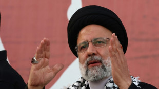 Ir&atilde; pede a pa&iacute;ses mu&ccedil;ulmanos que designem Ex&eacute;rcito de Israel como 'grupo terrorista'