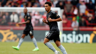 Arsenal's Nwaneri becomes Premier League's youngest player at 15