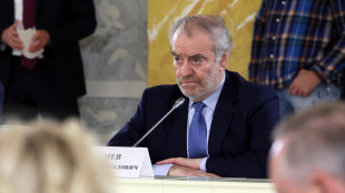 Mosca, 'la Russia rimane aperta agli artisti italiani'