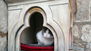 Kein Palast f&uuml;r Anastasia