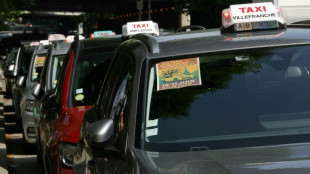 Transport de malades, concurrence des VTC: les taxis manifestent devant Bercy