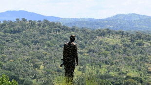 Pillaged I.Coast nature reserve on the mend after crisis decade