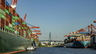 In Fruchtcontainer: Hamburger Zoll entdeckt Kokain in Wert von 24 Millionen Euro