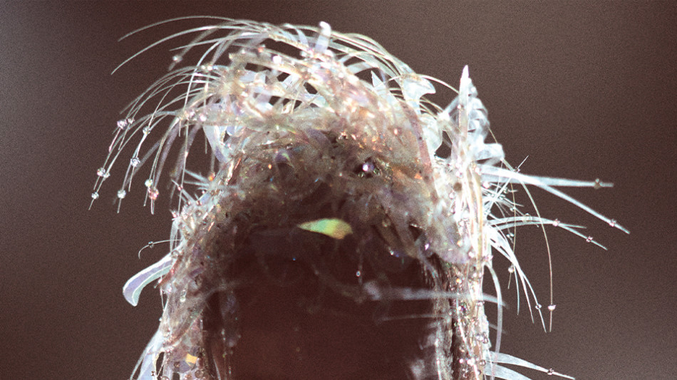 Miley Cyrus, fuori il nuovo album Something Beautiful