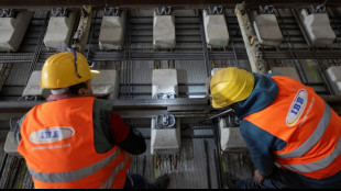 Bahn: Hohe Zufriedenheit mit Ersatzverkehr f&uuml;r Riedbahn