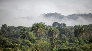The case of Africa's 'vanishing' carbon deals
