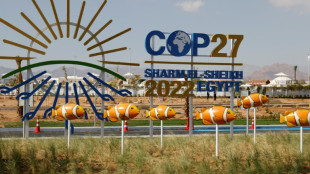 N&eacute;gociations sur le fil &agrave; la COP27, prolong&eacute;e jusqu'&agrave; samedi