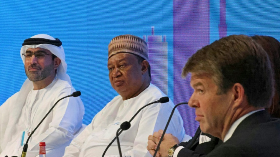 La OPEP+ aumenta de forma modesta su producci&oacute;n de petr&oacute;leo pese a la presi&oacute;n de Occidente 