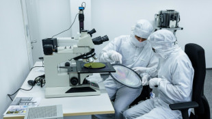 DGB-Ausbildungsreport: Mehr ausbildungsfremde T&auml;tigkeiten und &Uuml;berstunden