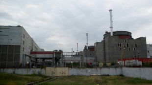 IAEA: Kein Sprengstoff auf D&auml;chern von ukrainischem Akw Saporischschja gefunden