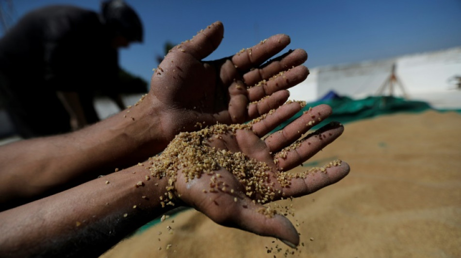Bundesregierung gibt weitere 880 Millionen Euro f&uuml;r Kampf gegen Hunger 