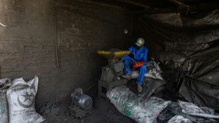 Au Tchad, les premiers pas de la fili&egrave;re d'un pr&eacute;tendu "charbon &eacute;cologique"