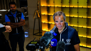 Misi&oacute;n del OIEA parte de Kiev hacia planta nuclear de Zaporiyia