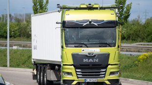 Bundesregierung will Pr&uuml;fungen f&uuml;r Fernfahrer in mehr Sprachen zulassen