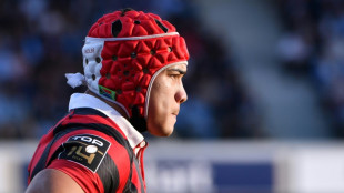 Toulon winger Kolbe sidelined with ankle injury