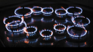 Il gas si mantiene sopra i 31 euro sulla piazza Ttf di Amsterdam