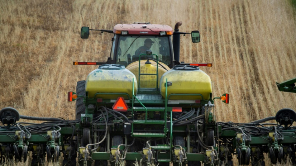 EEUU vuelve a rebajar la estimaci&oacute;n de la producci&oacute;n mundial de ma&iacute;z y soja