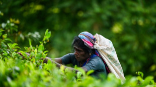 Sri Lanka bezahlt Schulden beim Iran f&uuml;r &Ouml;lk&auml;ufe mit Tee