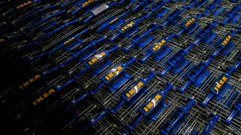 Le meuble qui cache la for&ecirc;t: un documentaire sur l'app&eacute;tit d'Ikea pour le bois