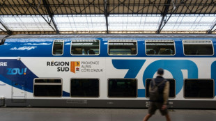 La gare de Marseille-Saint-Charles, laboratoire de la concurrence ferroviaire en France
