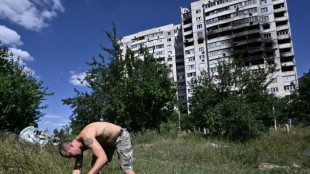 L'Ukraine entame ses exportations de c&eacute;r&eacute;ales 