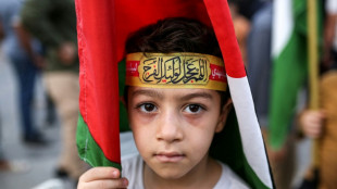 Manifesta&ccedil;&otilde;es em apoio a Gaza se espalham por pa&iacute;ses &aacute;rabes e mu&ccedil;ulmanos