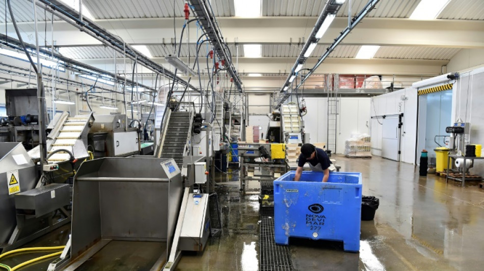 La producci&oacute;n industrial en Espa&ntilde;a repunt&oacute; ligeramente en agosto