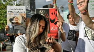 Hermann: Innenminister sollen &uuml;ber Aussetzung von Abschiebungen nach Iran beraten