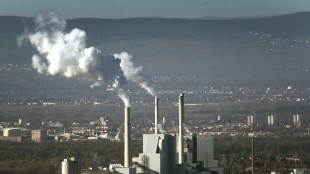 Expertenrat sieht Abkehr von Sektorzielen im Klimaschutzgesetz skeptisch