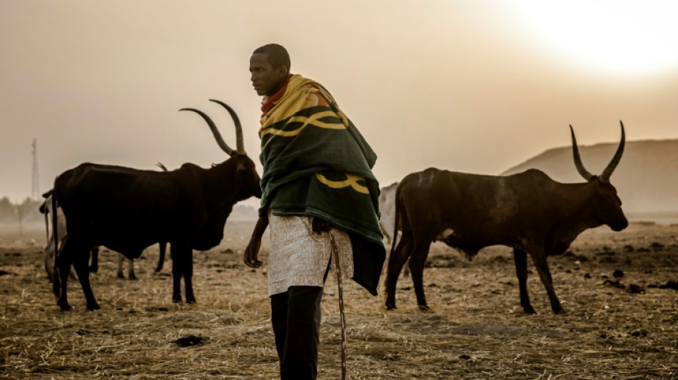 Pelo menos 30 pessoas morrem em ataques violentos na Nig&eacute;ria 