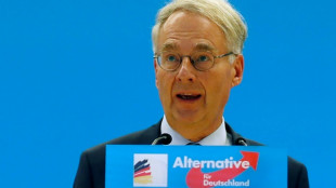 Reuni&atilde;o de extremistas na Alemanha discutiu plano de expuls&atilde;o de estrangeiros