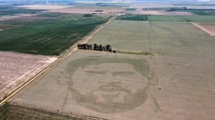 "Tatuaje agr&iacute;cola", un nuevo homenaje a Messi desde el campo argentino